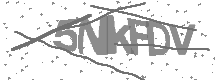 Captcha text