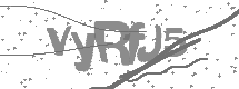 Captcha text
