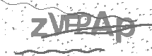 Captcha text