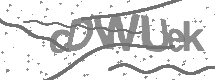Captcha text