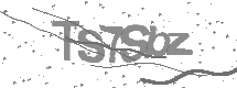Captcha text