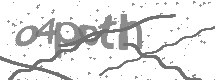 Captcha text