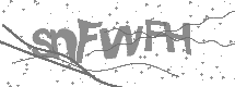 Captcha text