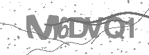 Captcha text