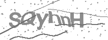 Captcha text