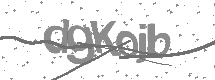 Captcha text
