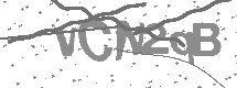 Captcha text