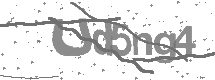 Captcha text