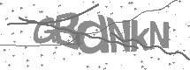Captcha text