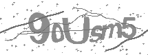 Captcha text
