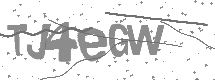 Captcha text
