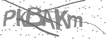 Captcha text