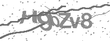 Captcha text