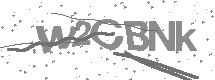 Captcha text