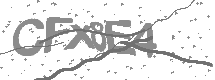 Captcha text