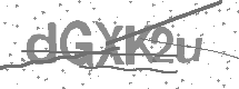 Captcha text