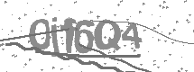 Captcha text