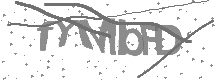 Captcha text