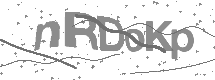 Captcha text