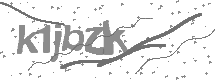 Captcha text