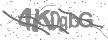 Captcha text