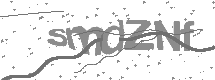 Captcha text