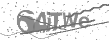 Captcha text