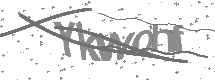 Captcha text