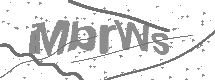 Captcha text