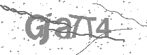 Captcha text
