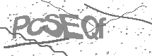 Captcha text