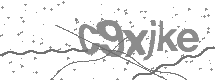 Captcha text