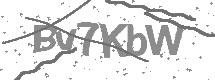 Captcha text