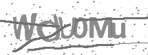 Captcha text