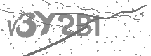 Captcha text