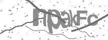 Captcha text