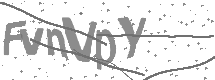 Captcha text