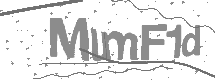 Captcha text
