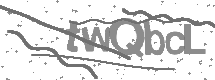 Captcha text