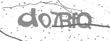 Captcha text