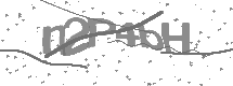 Captcha text