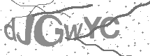 Captcha text