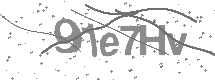 Captcha text