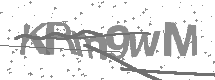 Captcha text