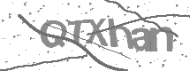 Captcha text