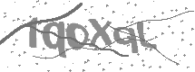 Captcha text