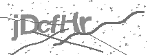 Captcha text
