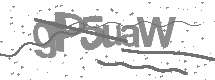 Captcha text