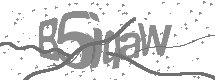 Captcha text