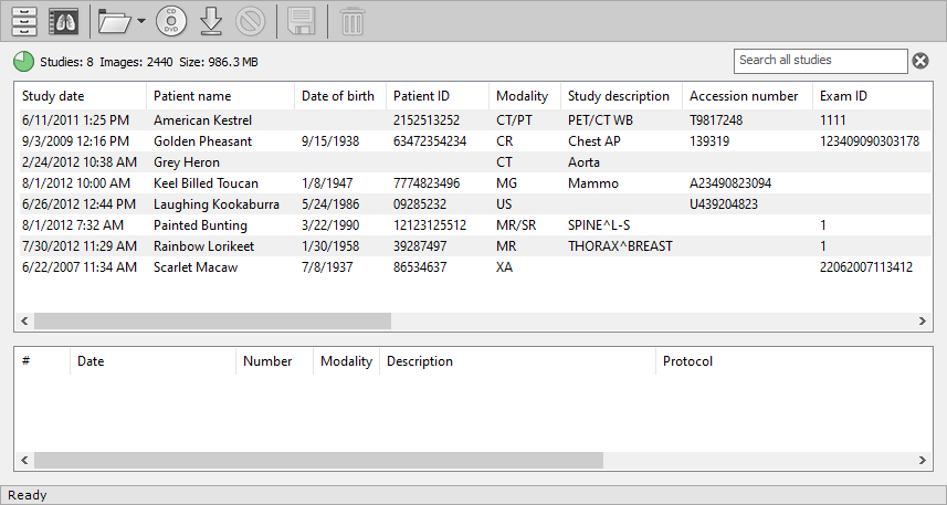 RadiAnt-DICOM-Viewer-Local-Archive-Window